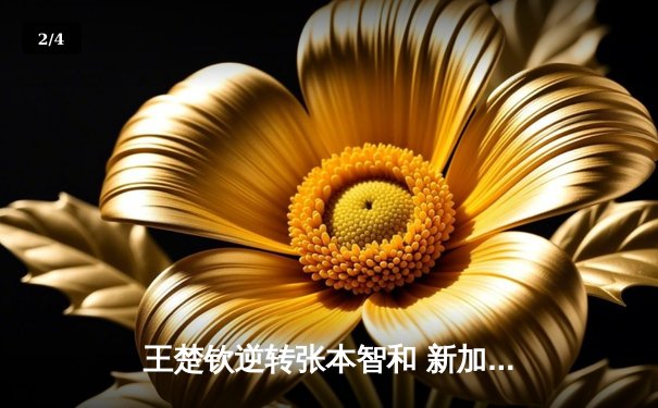 王楚钦逆转张本智和 新加坡大满贯上演惊心动魄对决 - 2